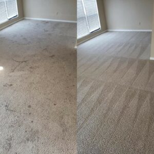 Nocatee Florida Grout cleaner