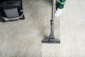 Lakeshore Florida Grout Cleaner